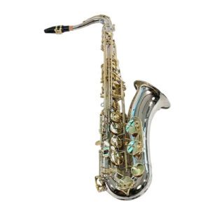 Sax Tenor Sebastian SST-T818LN Prata/Dourado
